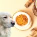Is Turmeric Good for Dogs? Benefits & Uses of Turmeric for Dogs
